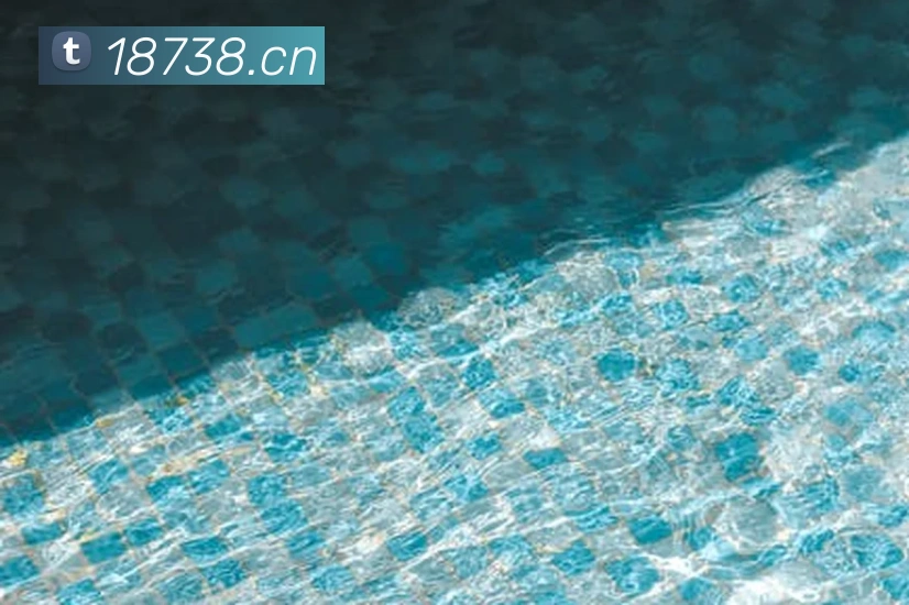 开云官方在线登陆平台服务体系